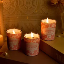 Myntra Elegant Homes Pink & Pink 3 pieces Jar Candle-picture-20