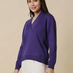 Allen Solly Blue Regular Fit Sweater image 3