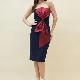 aayu Sheath Dress-picture-11