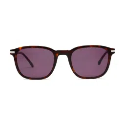 LACOSTE Purple UV Protection Square Sunglasses for Men-image-74
