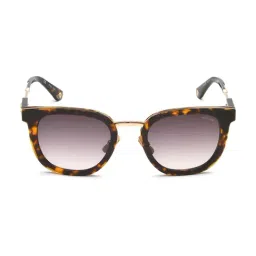 Police Brown UV Protection Square Sunglasses for Men image 2