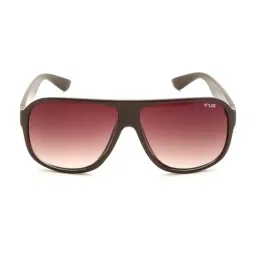 Irus Brown Wayfarer UV Protection Sunglasses for Men-image-39