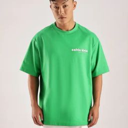CALVIN KLEIN Green Logo Relaxed Fit Cotton T-Shirt-picture-33