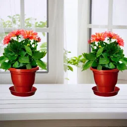 Virajsanchi 2-Pcs Brown Plastic High Quality Planters image 3