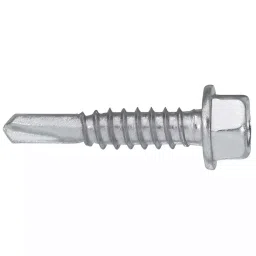 Jain 12x25 mm Galvanized Iron Self Drill Screw with Hexagonal Head, Jain-65-image-3