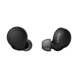 Sony WF-C500 True Wireless Bluetooth Earbuds with Mic (Black)-image-7