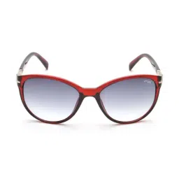 IRUS By IDEE IRS1043C3SG Blue Oval Sunglasses-picture-29