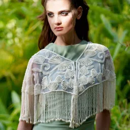 Odette Beige Embellished Fancy Short Cape image 3