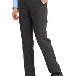 Park Avenue Brown Regular Fit Texture Trousers image 3