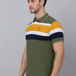 Cantabil Green Regular Fit Striped Polo T-Shirt image 3