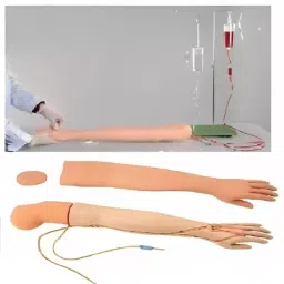 A-ONE SCIENCE Skin Color PVC Multifunctional Adult IV Training Arm Model AOSBM225 image 2