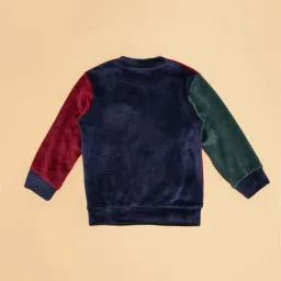 Pantaloons Baby Boys Multicolor Color Block Full Sleeves Sweatshirts & Hoodies image 4