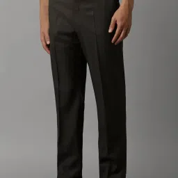 Louis Philippe Brown Regular Fit Self Pattern Trousers image 3