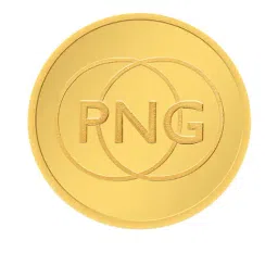P.N.Gadgil Jewellers 24k (995) 10gm PNG Yellow Gold Coin-picture-13