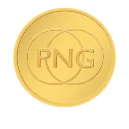 P.N.Gadgil Jewellers 24k (995) 2gm PNG Yellow Gold Coin-picture-11