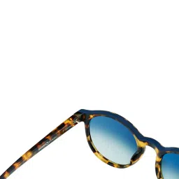 Etnia Barcelona AVINYO 3 HVBL 51/20 Grey Avinyo UV Protected Round Unisex Sunglasses image 3