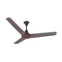 RR Signature OVALO Ceiling Fan Chocolate Brown 1200 mm Sweep 400 RPM-picture-21