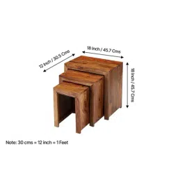 Ikiriya Oakland Beige Sheesham Wood Contemporary Nesting Tables in Natural Teak Finish image 5