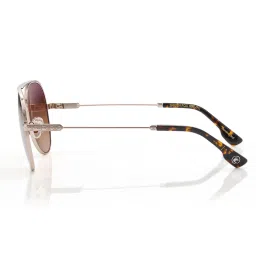 Shisen Fox Unisex Arias Daitan Steel Brown Aviator Uv Coating Full Rim Sunglass-Asg23 (58) image 2