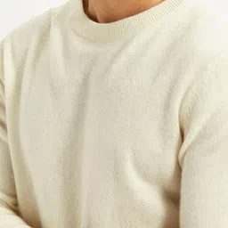 Levis Men Woollen Pullover image 4