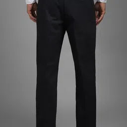 Louis Philippe Men Pleated Regular Fit Formal Trouser image 3
