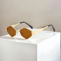 OUDI Unisex Brown Lens & Gold-Toned Oval Sunglasses with image 2