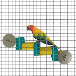 congo natural parrot treat 11X4 in. Colored Fix Ladder On Cage for Lovebirds,Cockatiels,Senegal, Conure and Wooden Perch For Bird image 2