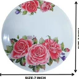 carnival Melamine Hotelware Dinner / Lunch/ Dining Plate Set 6 Pcs Dinner Plate image 2