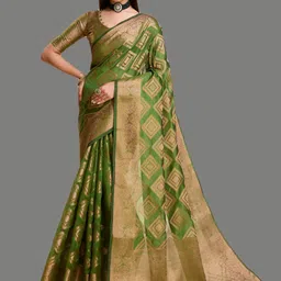 yourwish Woven Design Zari Organza Banarasi Saree-picture-16