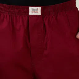 sleepz by raymond Relax Fit, Woven fabric, Lounge Pants Men Pyjama image 5