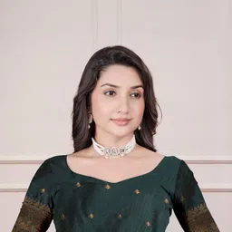 Aaishvyapparels Ethnic Motifs Embroidered Banarasi Saree image 3