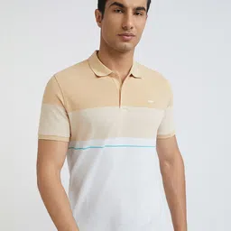 Park Avenue Striped Polo Collar Slim Fit T-shirt-picture-17