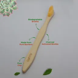 Allure Bamboo Toothbrush - OT 02 image 2