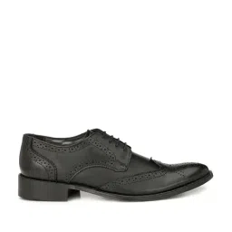 Hitz Men's Black Derby Shoes-picture-39