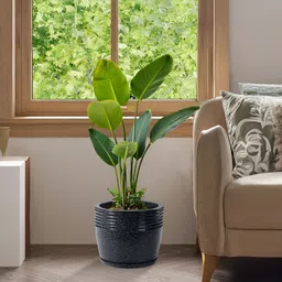 Myntra Elegant Homes Black Textured Marble Unbreakable UV Protected Planter image 2