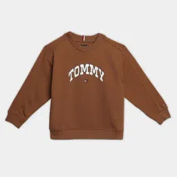 Tommy Hilfiger Kids Brown Cotton Regular Fit Logo Printed Sweater-image-43