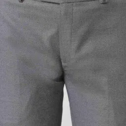 Peter England Grey Slim Fit Texture Trousers image 4