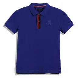 Tommy Hilfiger Kids Blue Regular Fit Polo T-Shirt-image-97