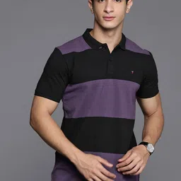 Louis Philippe Jeans Striped Polo Collar Pure Cotton Slim Fit T-shirt image 4