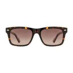 Royal Enfield Classic Brown UV Protection Wayfarer Sunglasses for Men image 2