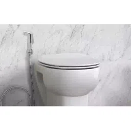 Alnico Stainless Steel Chrome Finish Health Faucet FAUCET TF-102 image 4