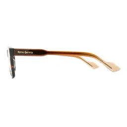 Royal Enfield Classic Brown UV Protection Wayfarer Sunglasses for Men image 3