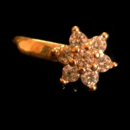 SHREEVARAM Gold-Plated Brass Nose Ring-picture-21