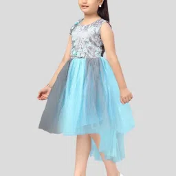 Aarika Kids Firozi Blue & Grey Printed Frock Dress image 4