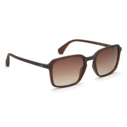 IRUS By IDEE Brown Square Sunglasses for Men-picture-19