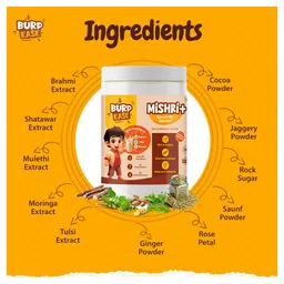 Burpease Mishri+ Milk Mix Sharper Brain & Stronger Bones Irish Chocolate Flavor - 400 g image 2