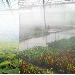 appster (15pcs) Irrigation Fogger System 4 Way Fogger Assembly Unit with Check Valve 100 L Hose-end Sprayer image 4