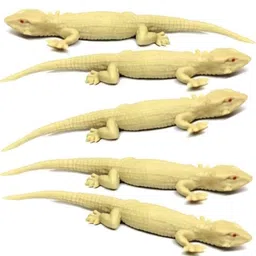 WAAOME Chipkali (5 PCS) Lizard Real Looking Chipkali Prank Toy for Kids/Prank Toy for Kids/Prank Toy (A994) image 1