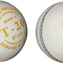 Grade A T-20 Cricket Leather Ball-image-3