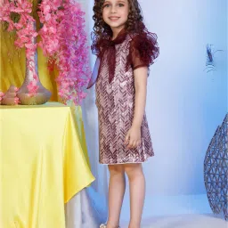 Peppermint Kids Maroon Embellished Dress image 4